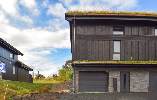 Feriehus - Holtardalen, Rauland , Norge - N35689 81