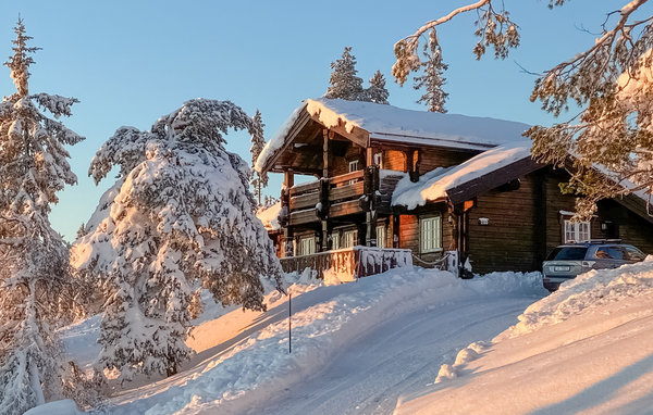 Foto: Kyrkjebygdheia/Treungen - Berggebied