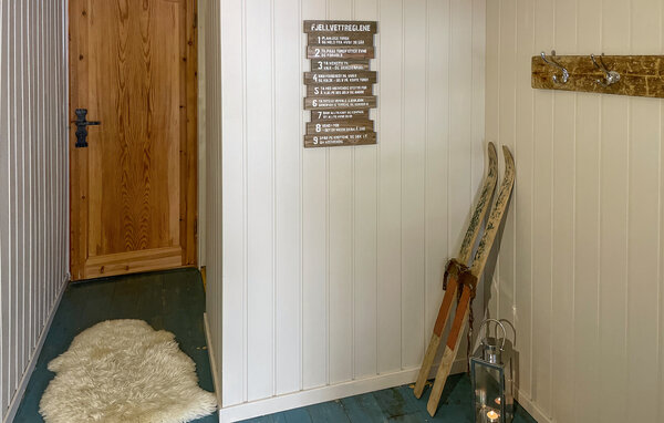 Ferienhaus - Fyresdal/Nesvatn/Vinsnes , Norwegen - N35696 501