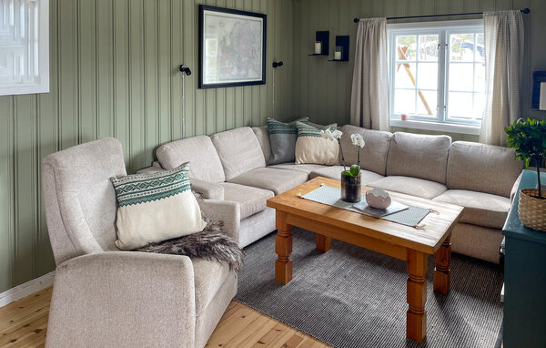 Ferienhaus - Fyresdal/Nesvatn/Vinsnes , Norwegen - N35696 3