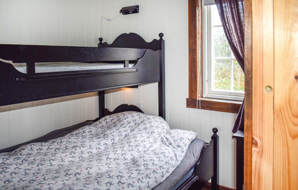 Ferienhaus - Fyresdal/Birtevann , Norwegen - N35698 603