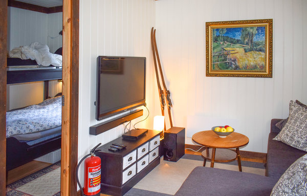Ferienhaus - Fyresdal/Birtevann , Norwegen - N35698 604
