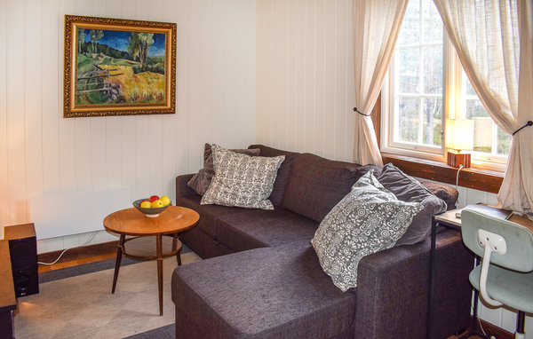 Ferienhaus - Fyresdal/Birtevann , Norwegen - N35698 5