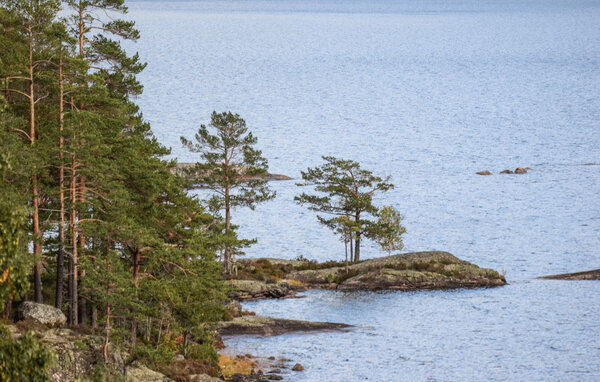 Domy wakacyjne - Treungen , Norwegia - N35701 205