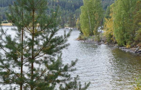 Domy wakacyjne - Treungen , Norwegia - N35701 206