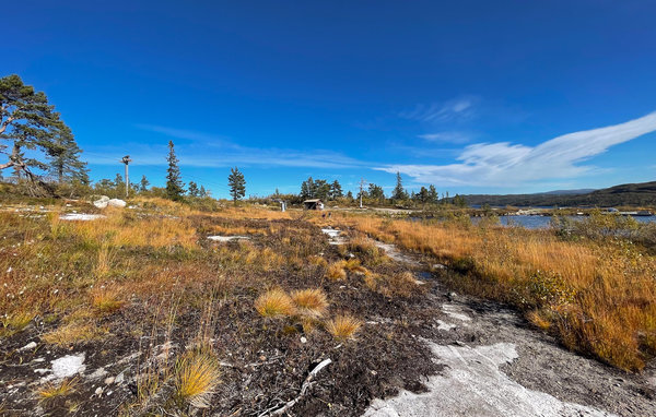 Domy wakacyjne - Hallbjønnsekken , Norwegia - N35707 903