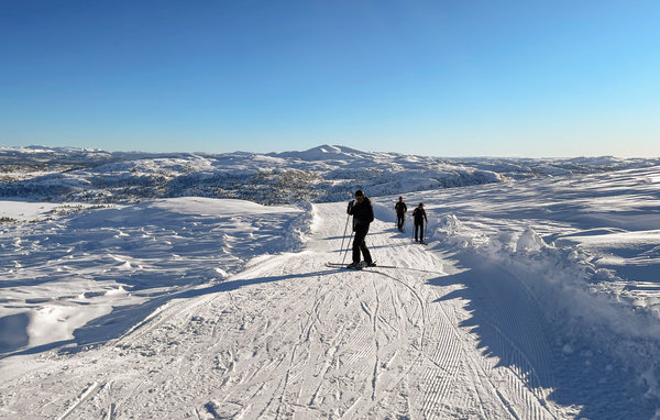 Domy wakacyjne - Hallbjønnsekken , Norwegia - N35707 906