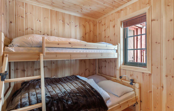 Domy wakacyjne - Hallbjønnsekken , Norwegia - N35707 604