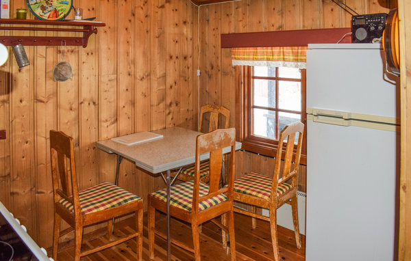 Holiday Home - Rauland , Norway - N35713 5