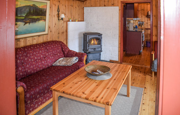 Holiday Home - Rauland , Norway - N35713 301