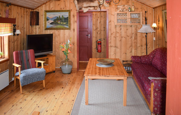 Holiday Home - Rauland , Norway - N35713 3
