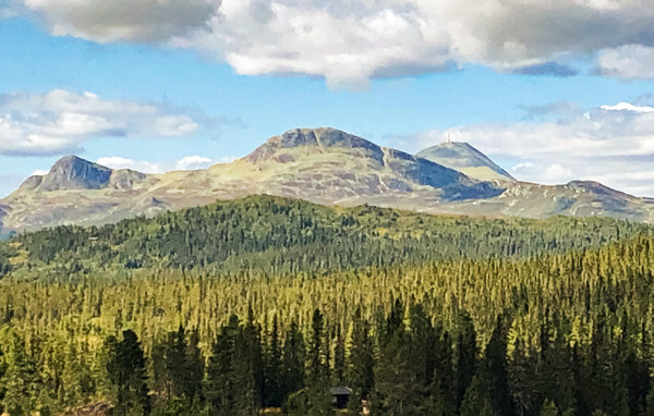 Ferienhaus - Tuddal , Norwegen - N35724 903