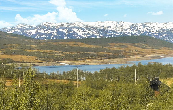 Ferienhaus - Rauland , Norwegen - N35735 201