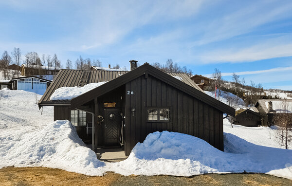 Feriehus - Skinnarbu , Norge - N35736 1