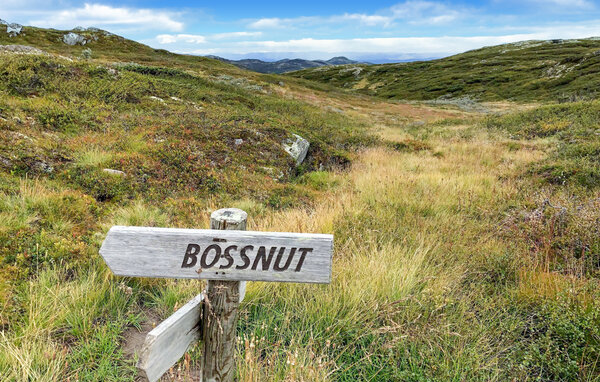 Ferienhaus - Rauland , Norwegen - N35751 905