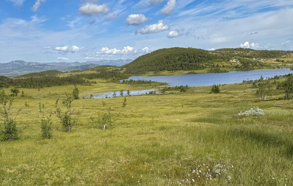 Ferienhaus - Rauland , Norwegen - N35751 912