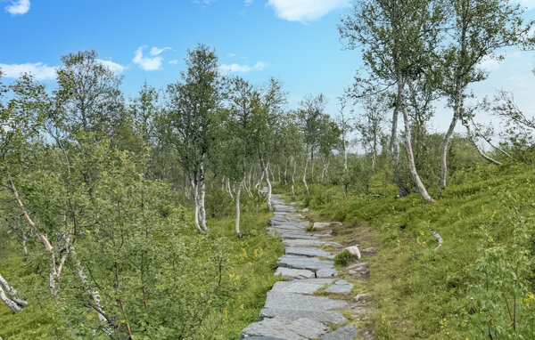 Ferienhaus - Rauland , Norwegen - N35751 913