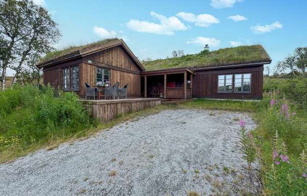 Holiday Home - Rauland , Norway - N35751 1