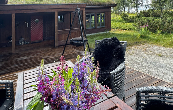 Ferienhaus - Rauland , Norwegen - N35751 101