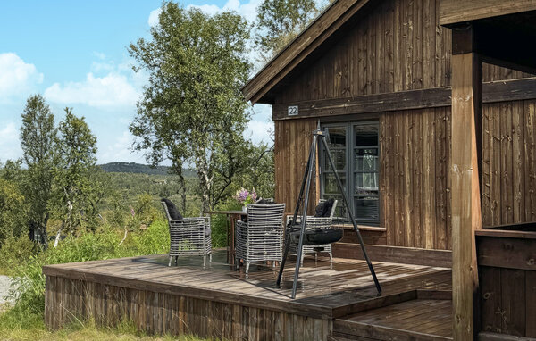 Ferienhaus - Rauland , Norwegen - N35751 9