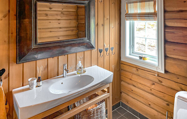 Ferienhaus - Rauland , Norwegen - N35754 704