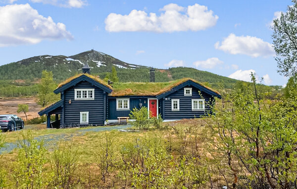 Ferienhaus - Rauland , Norwegen - N35754 81