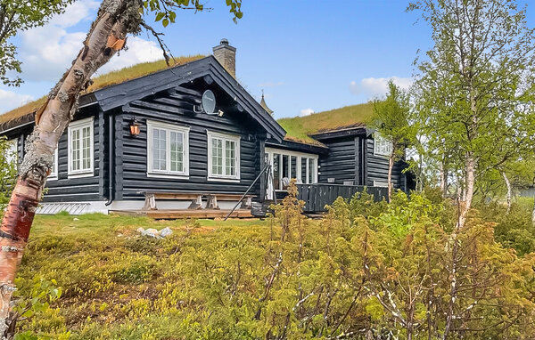 Ferienhaus - Rauland , Norwegen - N35754 9
