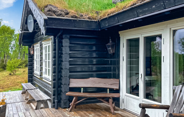 Ferienhaus - Rauland , Norwegen - N35754 8