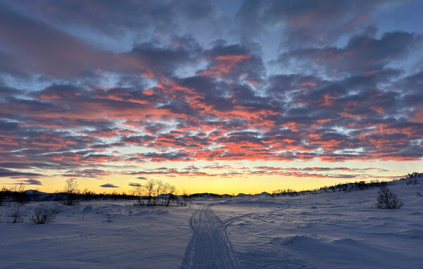 Lejlighed - Rauland/Møsstrond , Norge - N35789 104