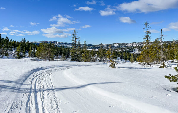 Vakantiehuis - Kyrkjebygdheia , Noorwegen - N35791 901