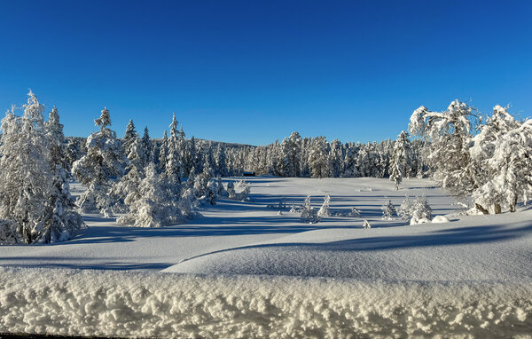 Vakantiehuis - Kyrkjebygdheia , Noorwegen - N35791 903