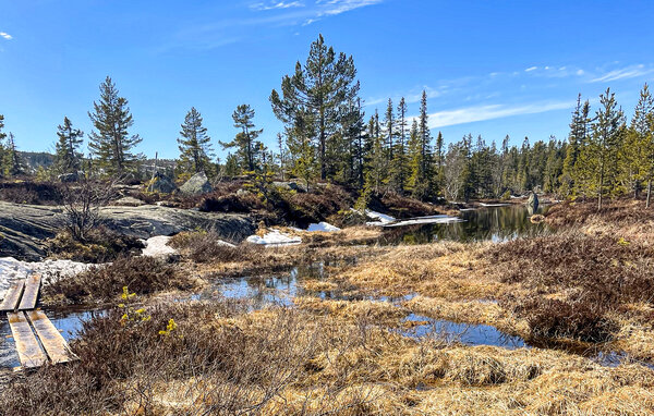 Feriehus - Kyrkjebygdheia , Norge - N35793 101