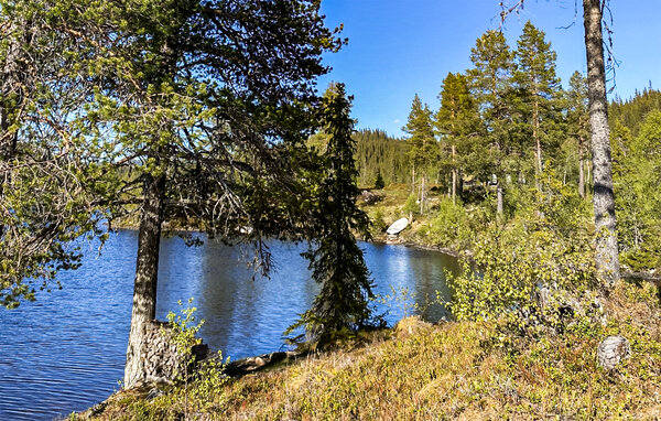 Feriehus - Vinje/Øyfjell , Norge - N35798 2