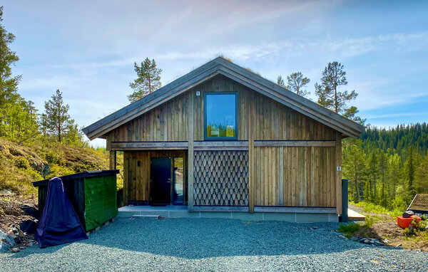 Feriehus - Vinje/Øyfjell , Norge - N35798 82