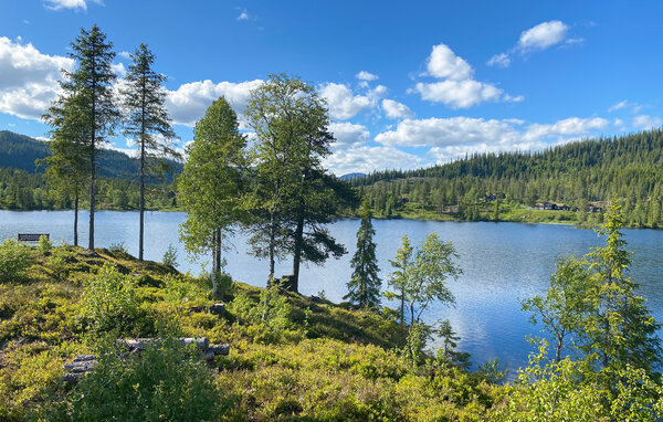 Feriehus - Vinje/Øyfjell , Norge - N35798 9