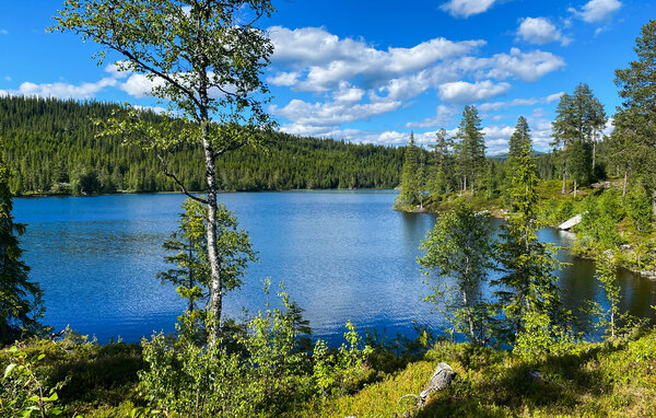 Feriehus - Vinje/Øyfjell , Norge - N35798 201