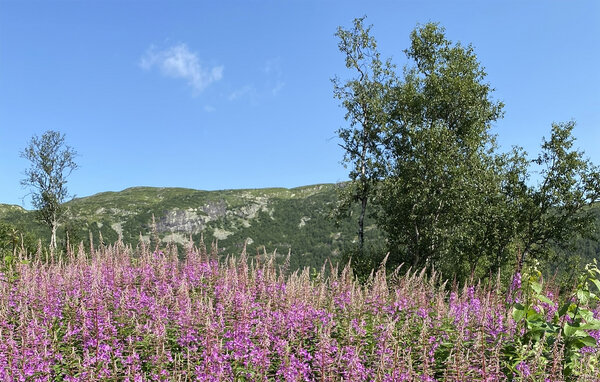 Feriehus - Haukelifjell , Norge - N35801 902