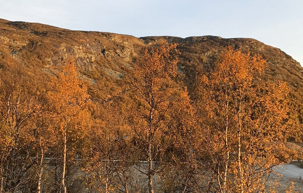 Feriehus - Haukelifjell , Norge - N35801 906
