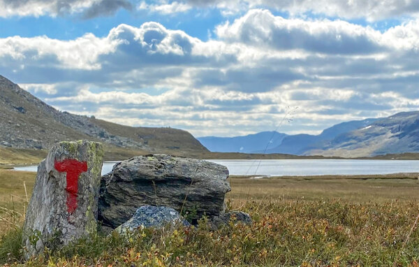 Feriehus - Haukelifjell , Norge - N35801 907