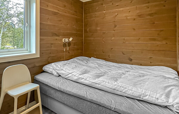 Feriehus - Haukelifjell , Norge - N35801 603