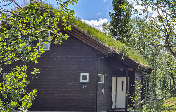 Feriehus - Haukelifjell , Norge - N35801 81