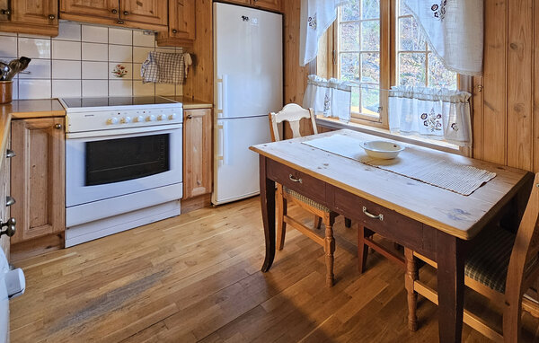 Domy wakacyjne - Dalen i Telemark , Norwegia - N35812 7