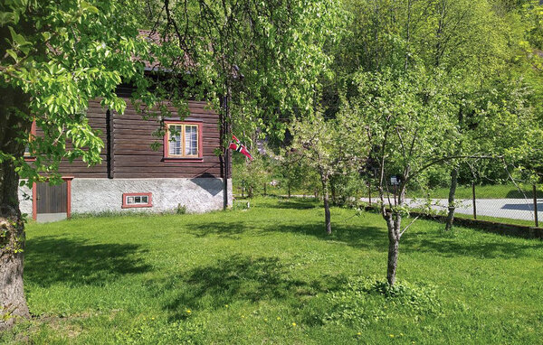 Domy wakacyjne - Dalen i Telemark , Norwegia - N35812 101