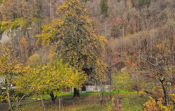 Domy wakacyjne - Dalen i Telemark , Norwegia - N35812 102