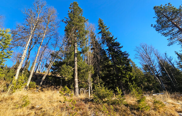 Feriehus - Tinn, Skirvedalen , Norge - N35829 901