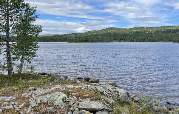 Feriehus - Tinn, Skirvedalen , Norge - N35829 902