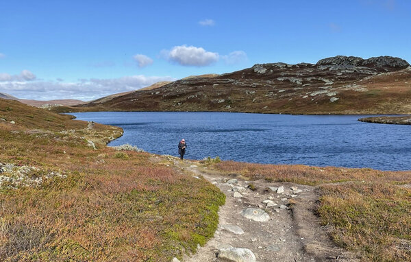 Feriehus - Tinn, Skirvedalen , Norge - N35829 903