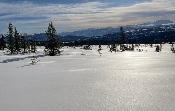 Feriehus - Tinn, Skirvedalen , Norge - N35829 906