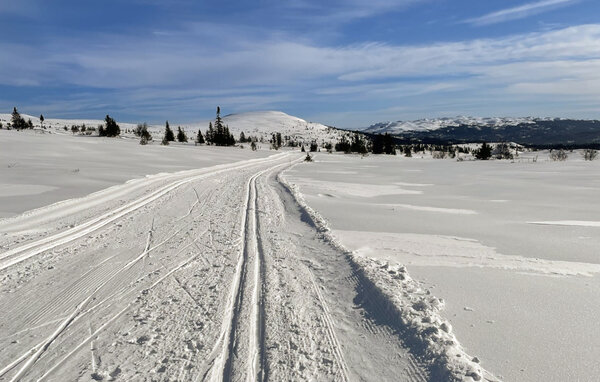 Feriehus - Tinn, Skirvedalen , Norge - N35829 907