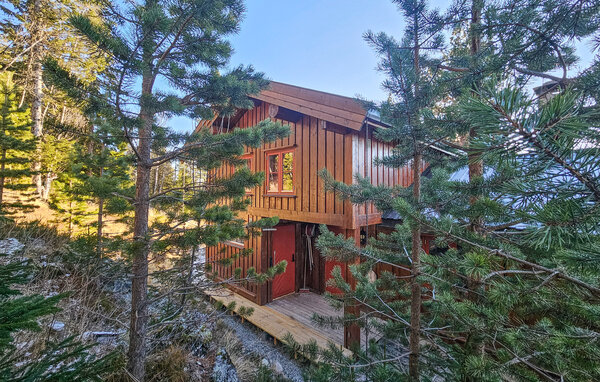 Feriehus - Tinn, Skirvedalen , Norge - N35829 81